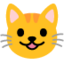 :smiley_cat: